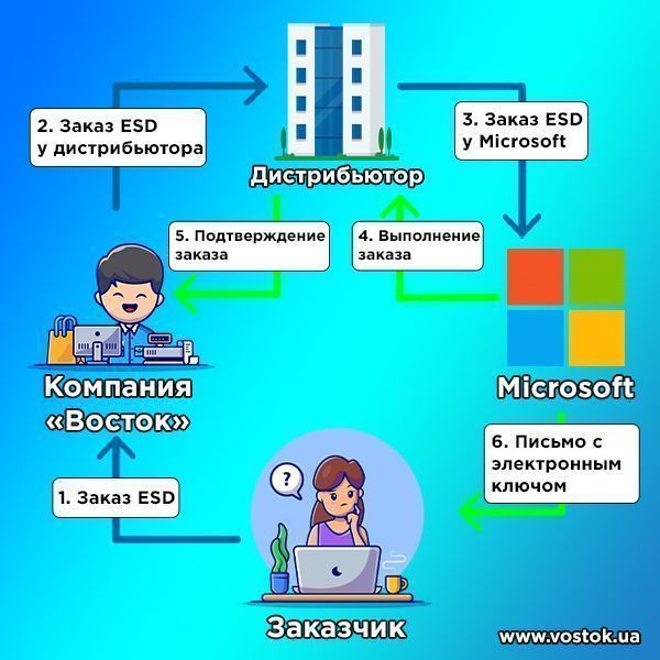 Microsoft ESD   